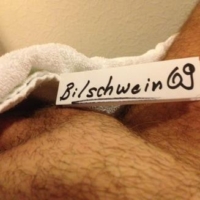 Bilschwein69