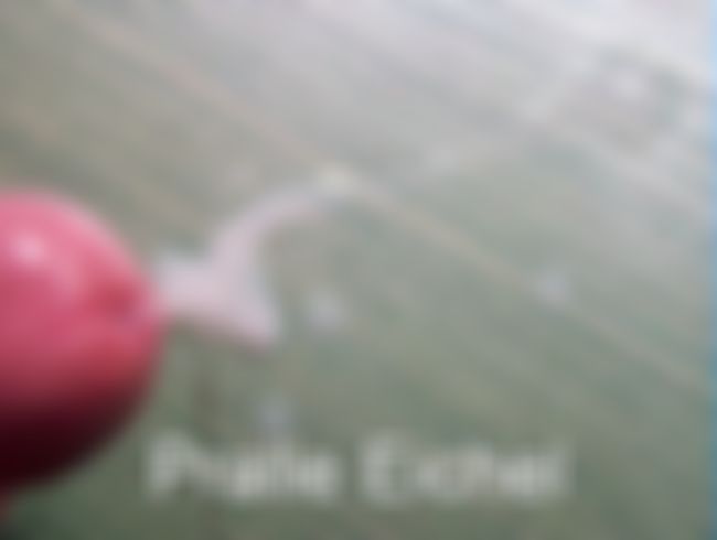 Pralle eic**l 