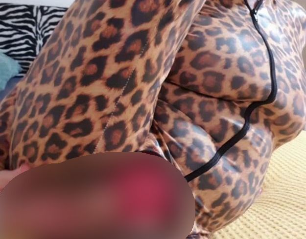 Süsse Wild- Katze...................................