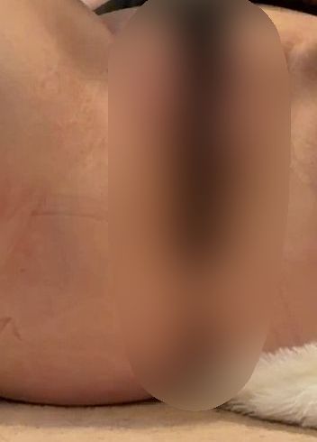 Seht ihr meine Katze?