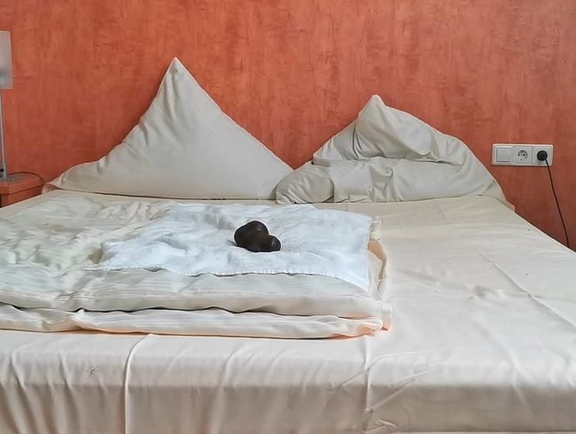 Hotel dil*o fi**er
