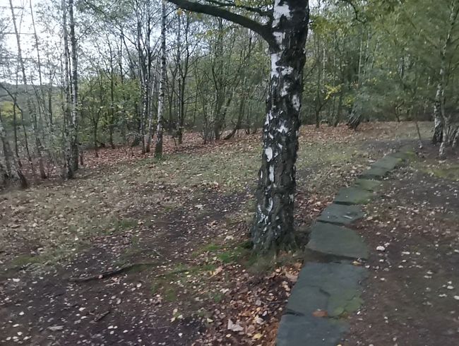 Schnelles Abspri**en im Wald