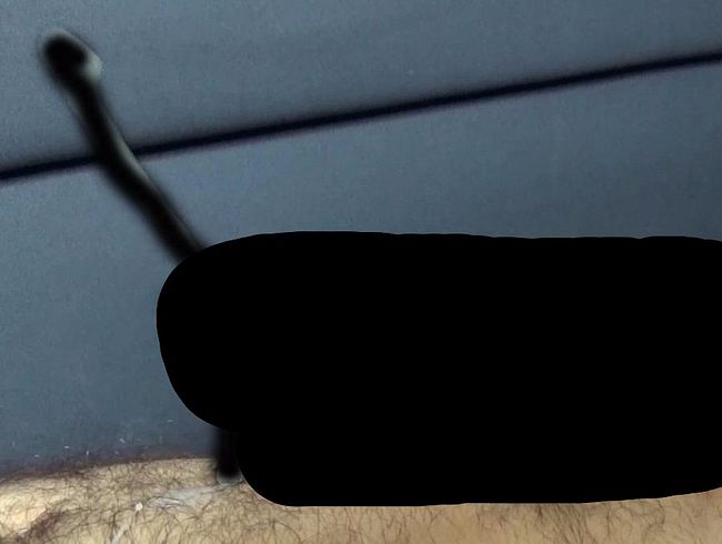 vi*rator schw**z Melken