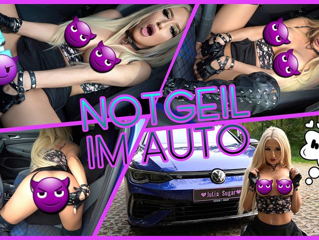 NOTGEIL IM AUTO