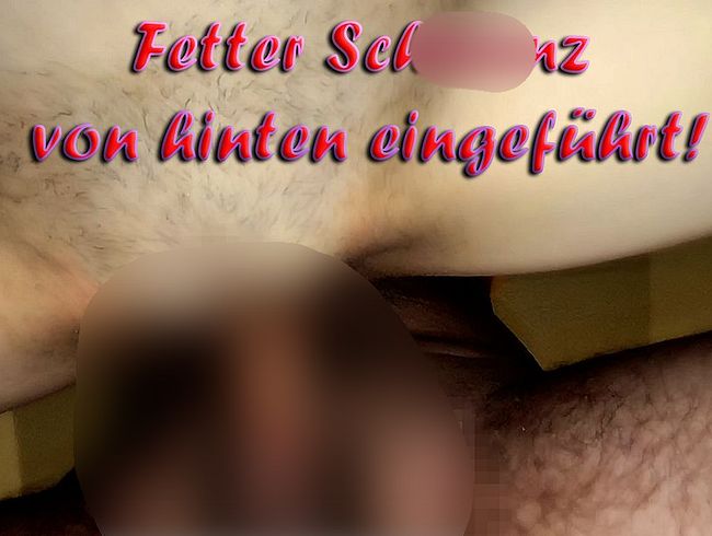Fetter schw**z von hinten eingeführt