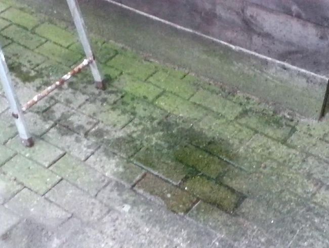 Draussen pi**en 2