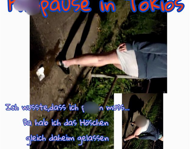pi**pause in Tokios