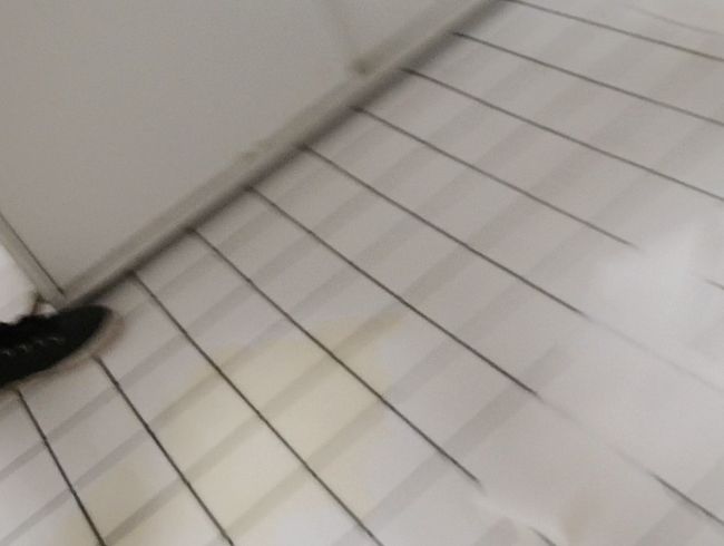 Real Toilette