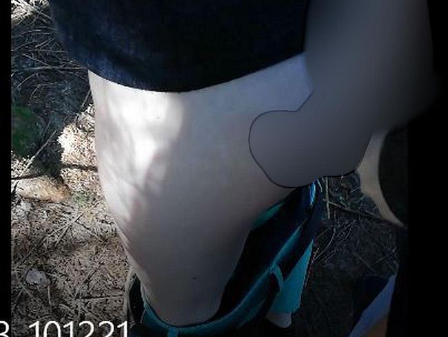 Spontan gefüllt im Wald