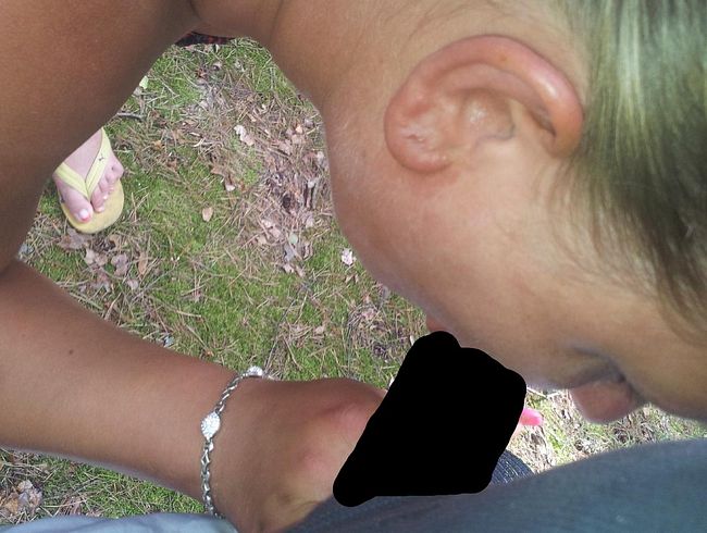 ostsee , bla*en im wald 