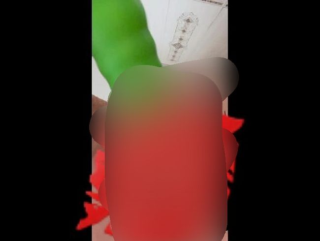 Mein erster Versuch ich mach’s mir mit dem Vibi