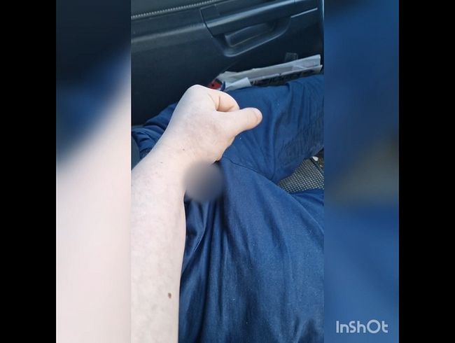 Den Fahrer gebla*en